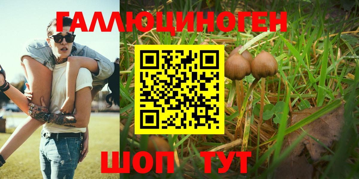 Галлюциногенные грибы Magic Shrooms Унеча