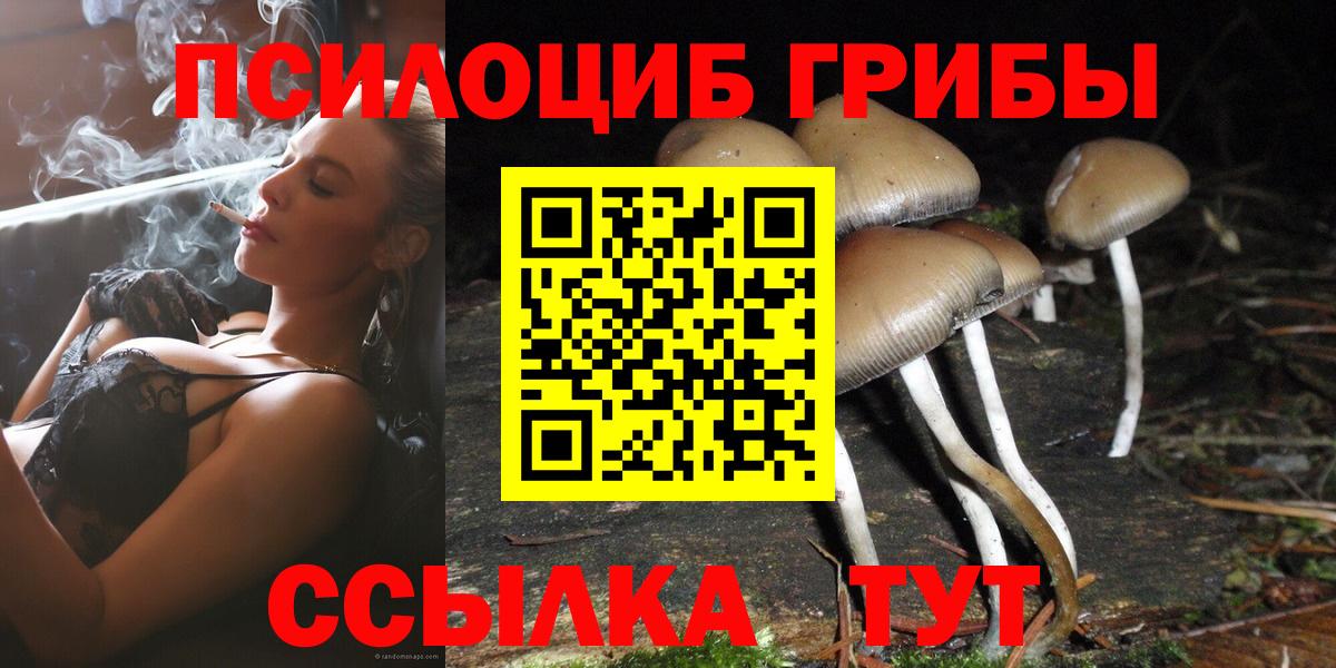 Псилоцибиновые грибы GOLDEN TEACHER  Вход с VPN  Унеча 